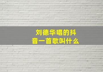 刘德华唱的抖音一首歌叫什么