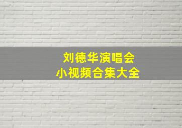 刘德华演唱会小视频合集大全