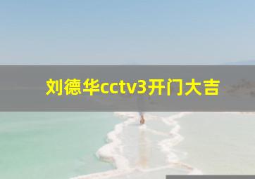 刘德华cctv3开门大吉