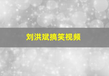 刘洪斌搞笑视频