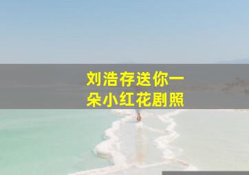 刘浩存送你一朵小红花剧照