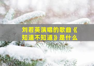 刘若英演唱的歌曲《知道不知道》是什么