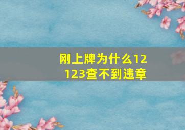 刚上牌为什么12123查不到违章