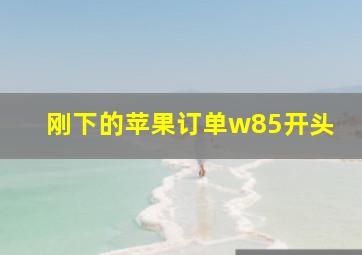 刚下的苹果订单w85开头