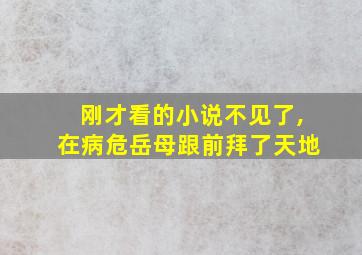 刚才看的小说不见了,在病危岳母跟前拜了天地