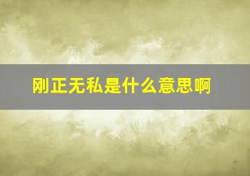 刚正无私是什么意思啊