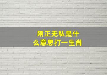 刚正无私是什么意思打一生肖