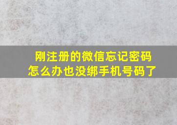 刚注册的微信忘记密码怎么办也没绑手机号码了