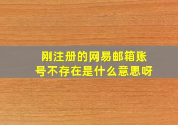 刚注册的网易邮箱账号不存在是什么意思呀