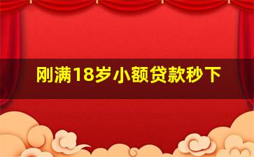 刚满18岁小额贷款秒下