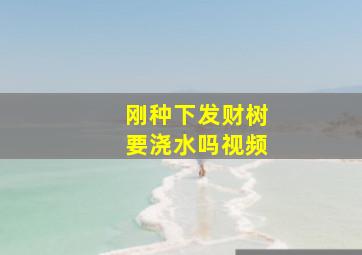 刚种下发财树要浇水吗视频