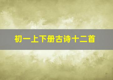 初一上下册古诗十二首