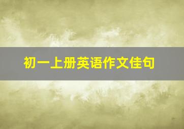 初一上册英语作文佳句