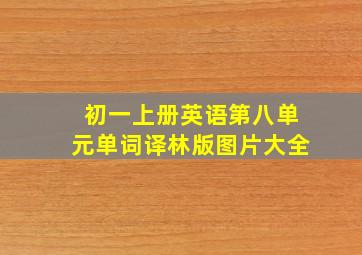 初一上册英语第八单元单词译林版图片大全