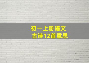 初一上册语文古诗12首意思