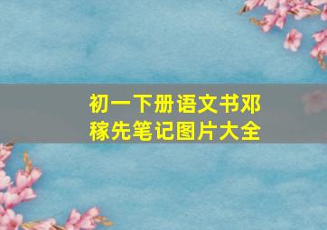 初一下册语文书邓稼先笔记图片大全