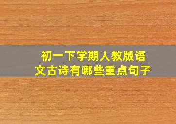 初一下学期人教版语文古诗有哪些重点句子