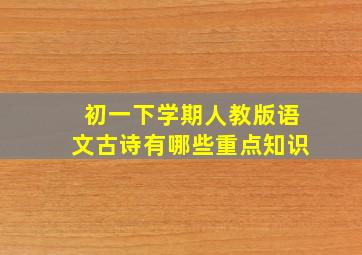 初一下学期人教版语文古诗有哪些重点知识