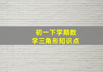 初一下学期数学三角形知识点