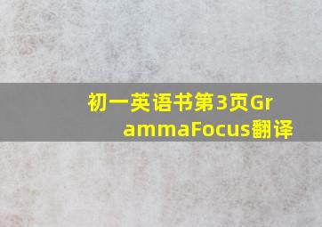 初一英语书第3页GrammaFocus翻译