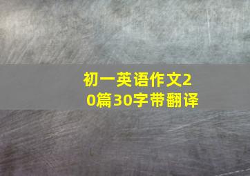 初一英语作文20篇30字带翻译