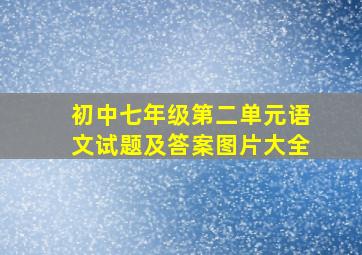 初中七年级第二单元语文试题及答案图片大全