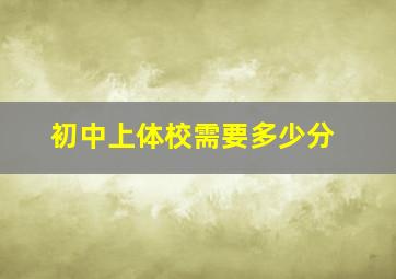 初中上体校需要多少分