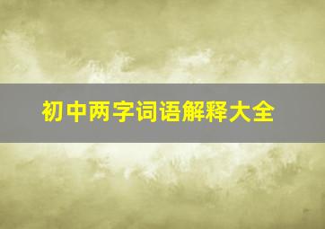 初中两字词语解释大全