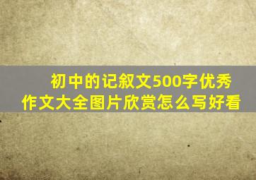 初中的记叙文500字优秀作文大全图片欣赏怎么写好看