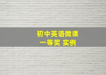 初中英语微课 一等奖 实例