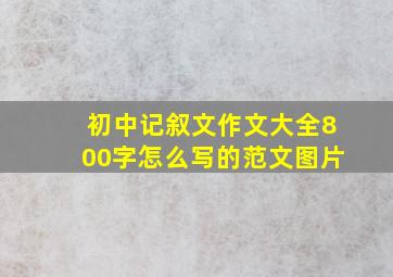 初中记叙文作文大全800字怎么写的范文图片