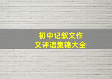 初中记叙文作文评语集锦大全