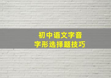 初中语文字音字形选择题技巧