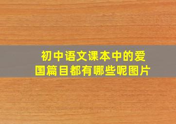 初中语文课本中的爱国篇目都有哪些呢图片