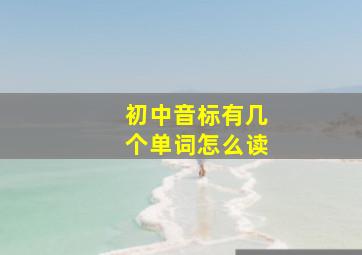 初中音标有几个单词怎么读