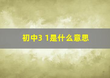 初中3+1是什么意思