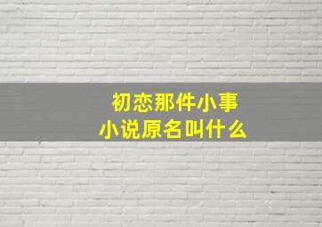 初恋那件小事小说原名叫什么