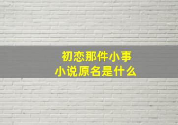 初恋那件小事小说原名是什么