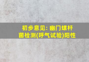 初步意见: 幽门螺杆菌检测(呼气试验)阳性