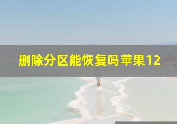 删除分区能恢复吗苹果12