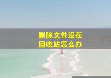 删除文件没在回收站怎么办