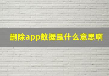 删除app数据是什么意思啊