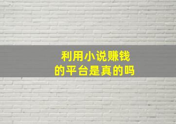 利用小说赚钱的平台是真的吗