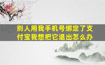 别人用我手机号绑定了支付宝我想把它退出怎么办