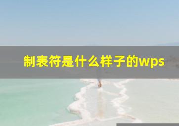 制表符是什么样子的wps