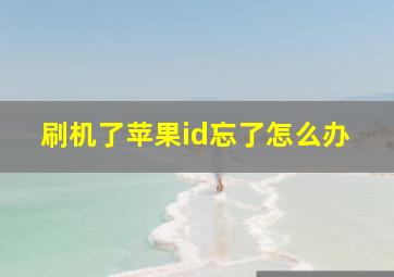 刷机了苹果id忘了怎么办