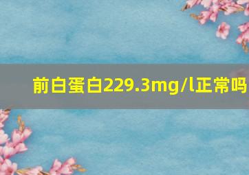 前白蛋白229.3mg/l正常吗