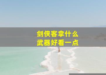 剑侠客拿什么武器好看一点