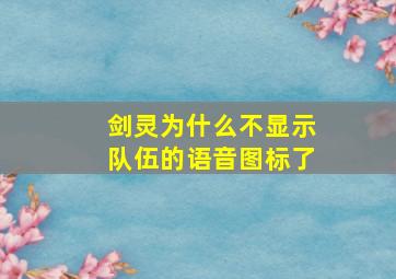 剑灵为什么不显示队伍的语音图标了