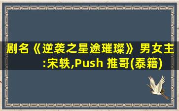 剧名《逆袭之星途璀璨》 男女主:宋轶,Push 推哥(泰籍)